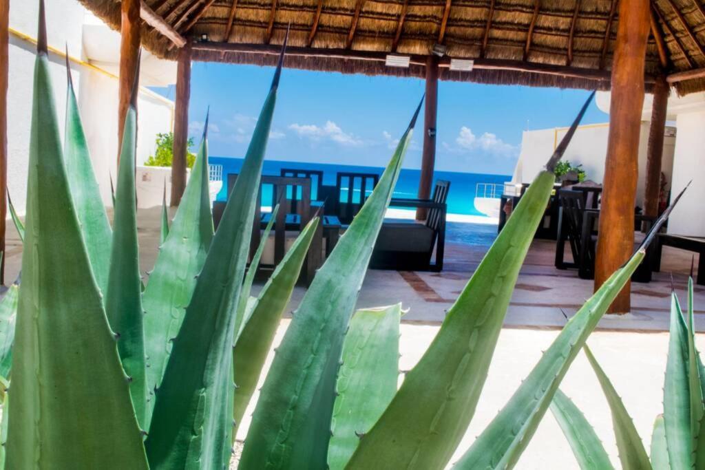 Villas Marlin 108, A Pie De Playa, Albercas, Jacuzi, Ubicacion Inmejorable Cancun Luaran gambar