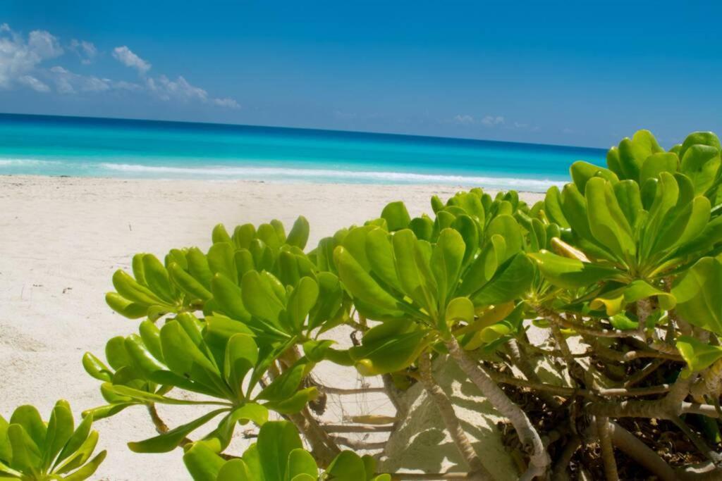 Villas Marlin 108, A Pie De Playa, Albercas, Jacuzi, Ubicacion Inmejorable Cancun Luaran gambar